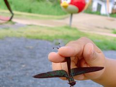 -天津东丽湖风景区