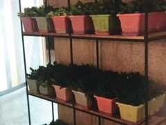-番食园鲜食火锅(高新店)