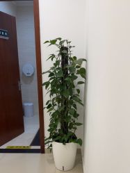 -澳尔颜选医疗美容