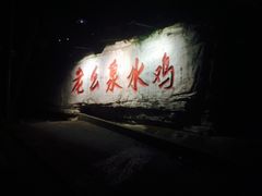 -老幺泉水鸡