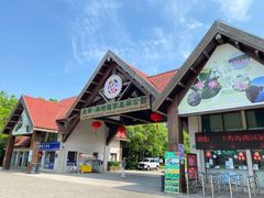 -上海海湾国家森林公园