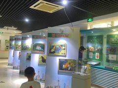 -上海昆虫博物馆