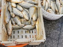 -京深海鲜市场(光彩路店)