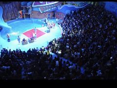 -烟台海昌鲸鲨海洋公园