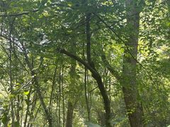 -桂林古东瀑布景区