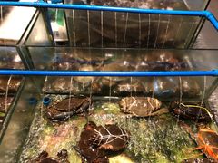 -Isla Sugbu Seafood City