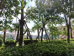 -南昌玛雅海滩水公园