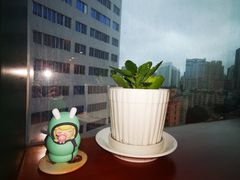 -深圳维景酒店