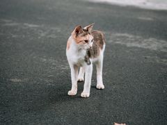 -中山公园