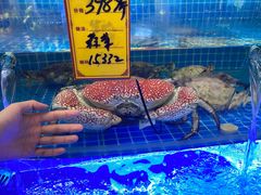 -驻海渔市(置信店)