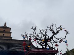 -大慈恩寺(大雁塔)