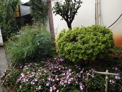 -天怡·鱼工厂(临江店)