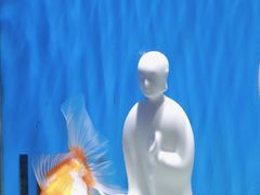 -合肥海洋世界