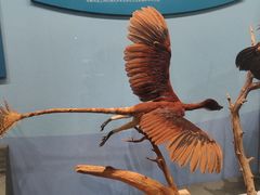 -国家自然博物馆