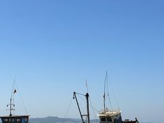 -仙人岛
