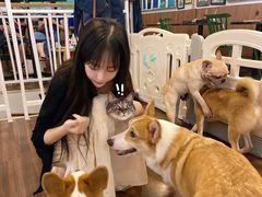 -柯斗斗主题餐厅·狗咖·围炉煮茶·茶饮(国瑞升平里店)