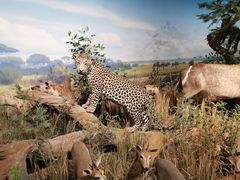 -陕西自然博物馆