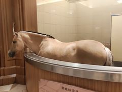 -海澜飞马水城