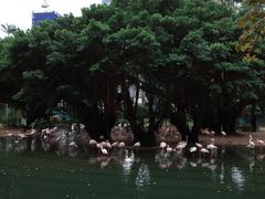 -九龙公园