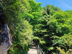 -王顺山国家森林公园