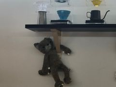 -叁秋咖啡 SANQIU COFFEE(天津河北路店)