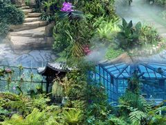 -东莞植物园