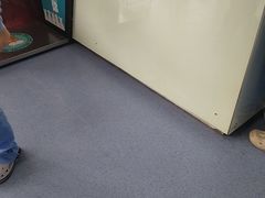 -顺强宠物诊所·狂犬免疫·夜诊·骨科(嘉定店)