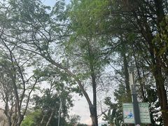 -四海公园(南山区)