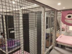 -meland club亲子乐园(重庆万象城店)