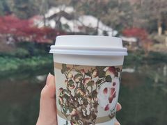 -茶颜悦色(岳麓山顶店)