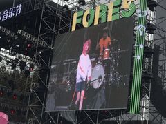 -黄海国家森林公园