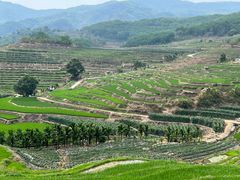 -牙胡梯田景区