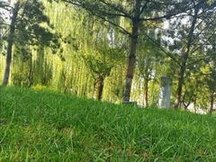 -鹦鹉寺公园