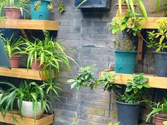 -花楸树下(观水路店)