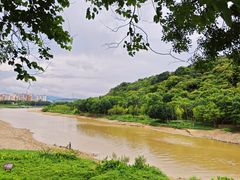 -风云岭森林公园