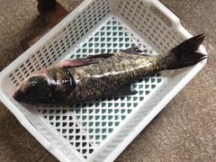 -天目湖刘老四农庄