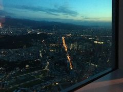 -随意鸟地方101观景餐厅