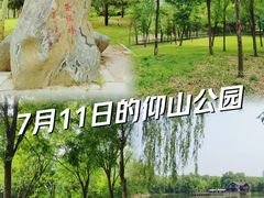 -仰山公园