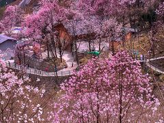 -九皇山景区