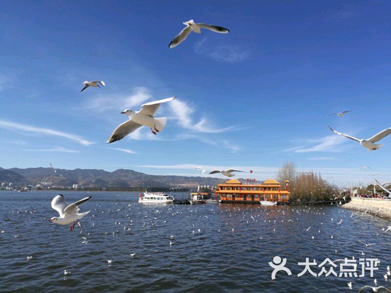 滇池风景区-图片-昆明周边游-大众点评网