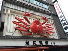 -蟹道乐(道顿堀本店)