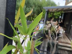-怡得饭庄·30年老店·宋大妈昆明菜