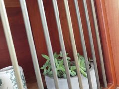 -萃茶师(琅西店)