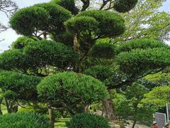 -水前寺成趣园