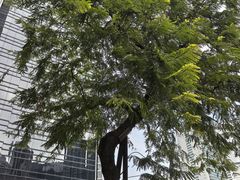 -尼依格罗香港美利酒店