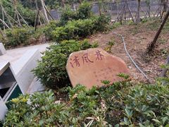 -罗三妹山