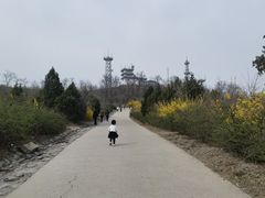 -鬼笑石后山停车场