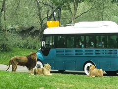 -北京野生动物园