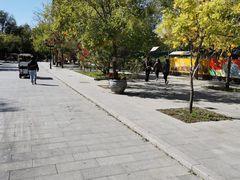 -杨柳青庄园