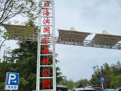 -日照海滨国家森林公园